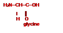 Zone de Texte: H2N─CH─C─OH
I ║
H O
glycine